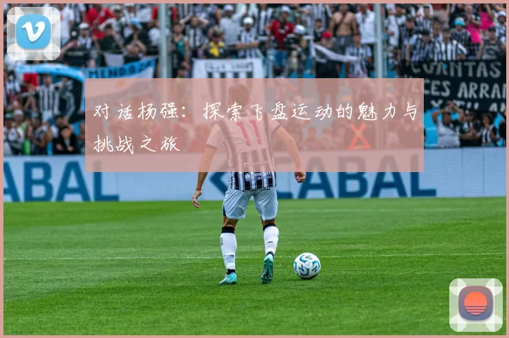 对话杨强：探索飞盘运动的魅力与挑战之旅