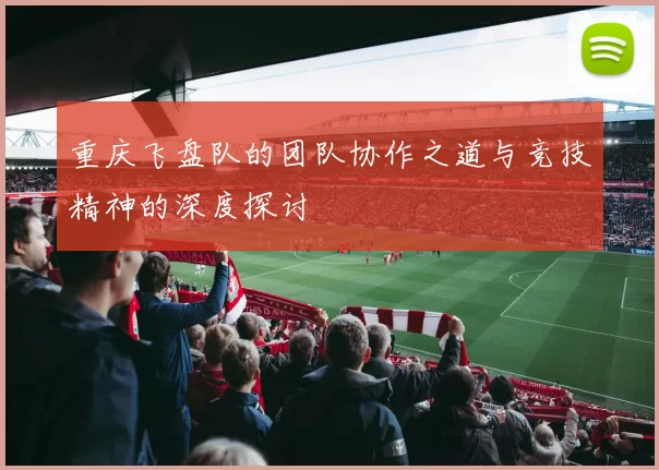 重庆飞盘队的团队协作之道与竞技精神的深度探讨