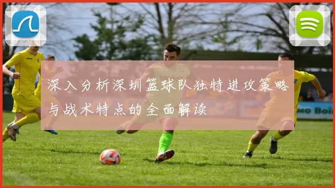 深入分析深圳篮球队独特进攻策略与战术特点的全面解读