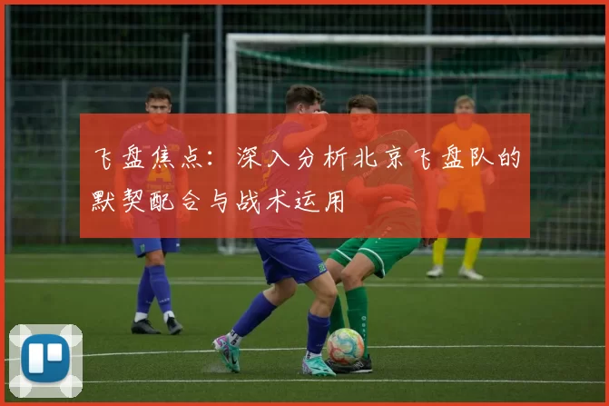飞盘焦点：深入分析北京飞盘队的默契配合与战术运用