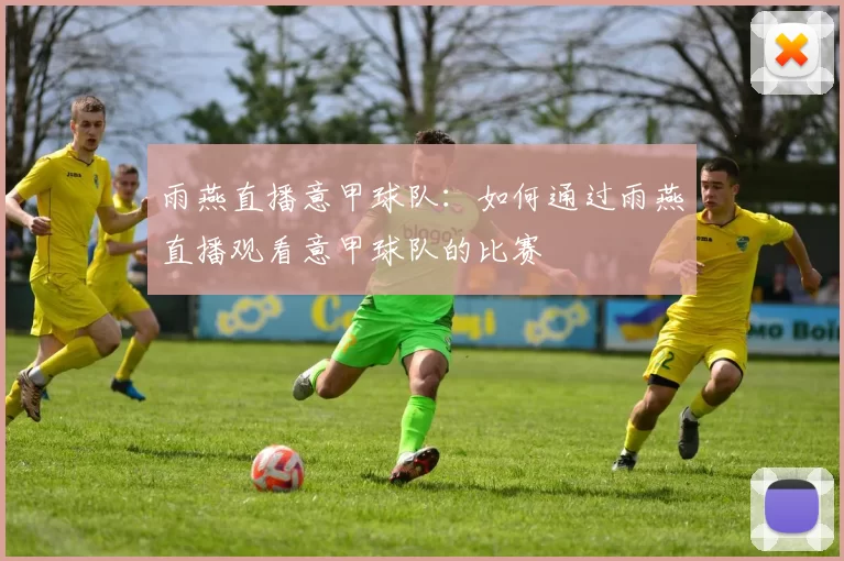 雨燕直播意甲球队：如何通过雨燕直播观看意甲球队的比赛