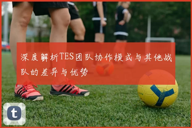 深度解析TES团队协作模式与其他战队的差异与优势
