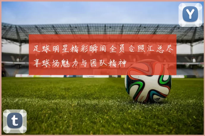 足球明星精彩瞬间全员合照汇总尽享球场魅力与团队精神