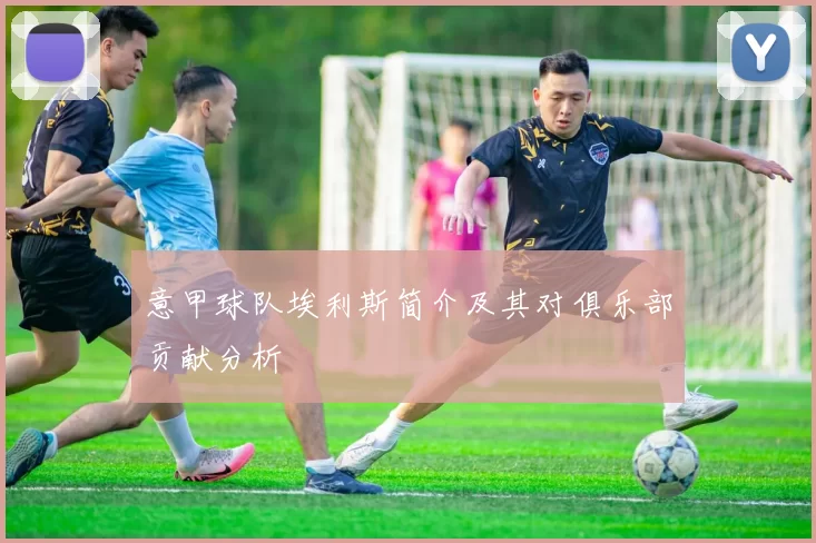 意甲球队埃利斯简介及其对俱乐部贡献分析