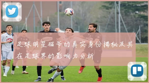 足球明星猫爷的真实身份揭秘及其在足球界的影响力分析